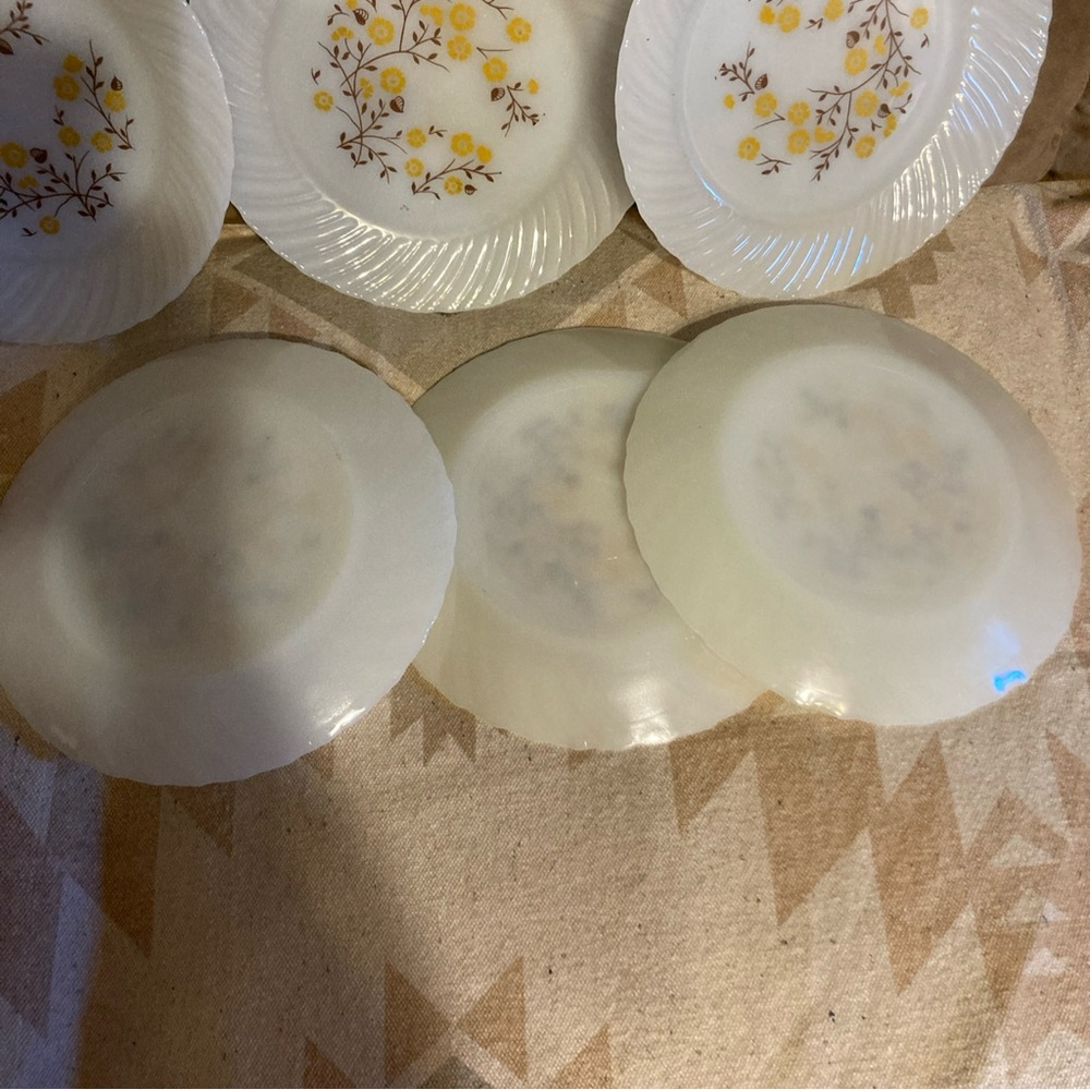 Plates - Picture 8 of 9